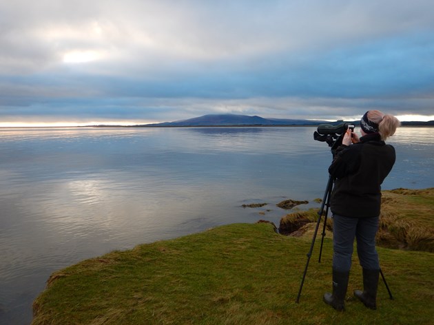 Caerlaverock National Nature Reserve  (2)