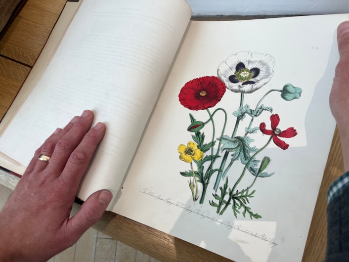 Unearthed at Leeds Central Library: On display as part of the free exhibition is a fascinating collection of beautifully illustrated manuals, compiled by some of history’s most esteemed horticulturalists.

Between their antique covers can be found centuries of accumulated wisdom about the best ways to grow fabulous fruit and vibrant veg as well as colourful flowers and fragrant herb patches.

Among the treasured tomes on display are a series of stunning illustrated guides to British flowers, such as Jane Loudon’s British Wild Flowers, written in around 1850, pictured here.