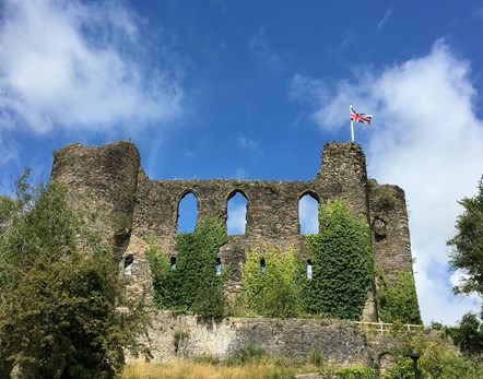 View of Haverfordwest Castle from slightly below with one flag flying and lots of greenery (old pic)