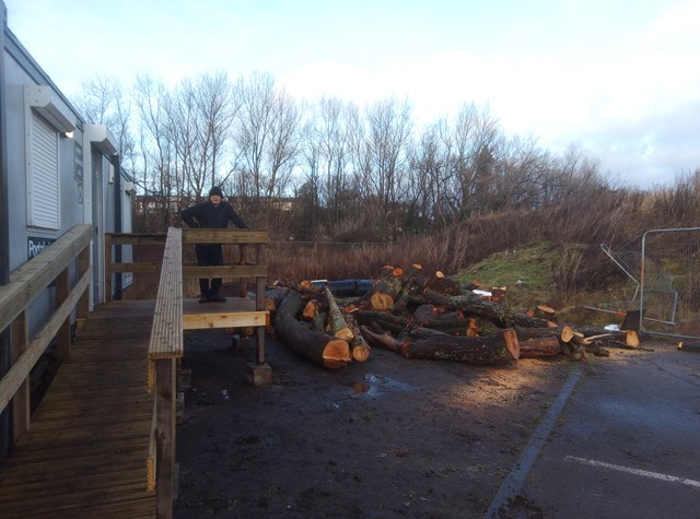 Project cops for a Shed load of logs: Bayview mens shed