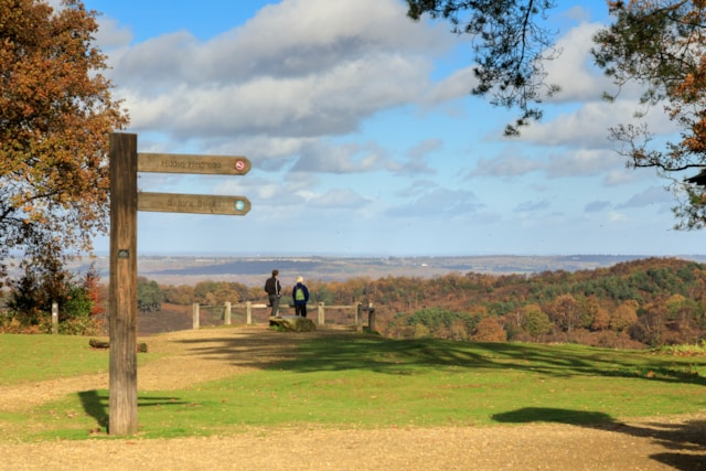 1441073 Hindhead Commons and the Devil's Punch Bowl National Trust Images John Miller