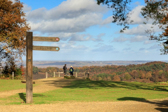 1441073 Hindhead Commons and the Devil's Punch Bowl National Trust Images John Miller