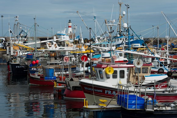 Fishing vessel owners asked to share impacts of Covid-19 in annual fleet survey: Fraserburgh harbour