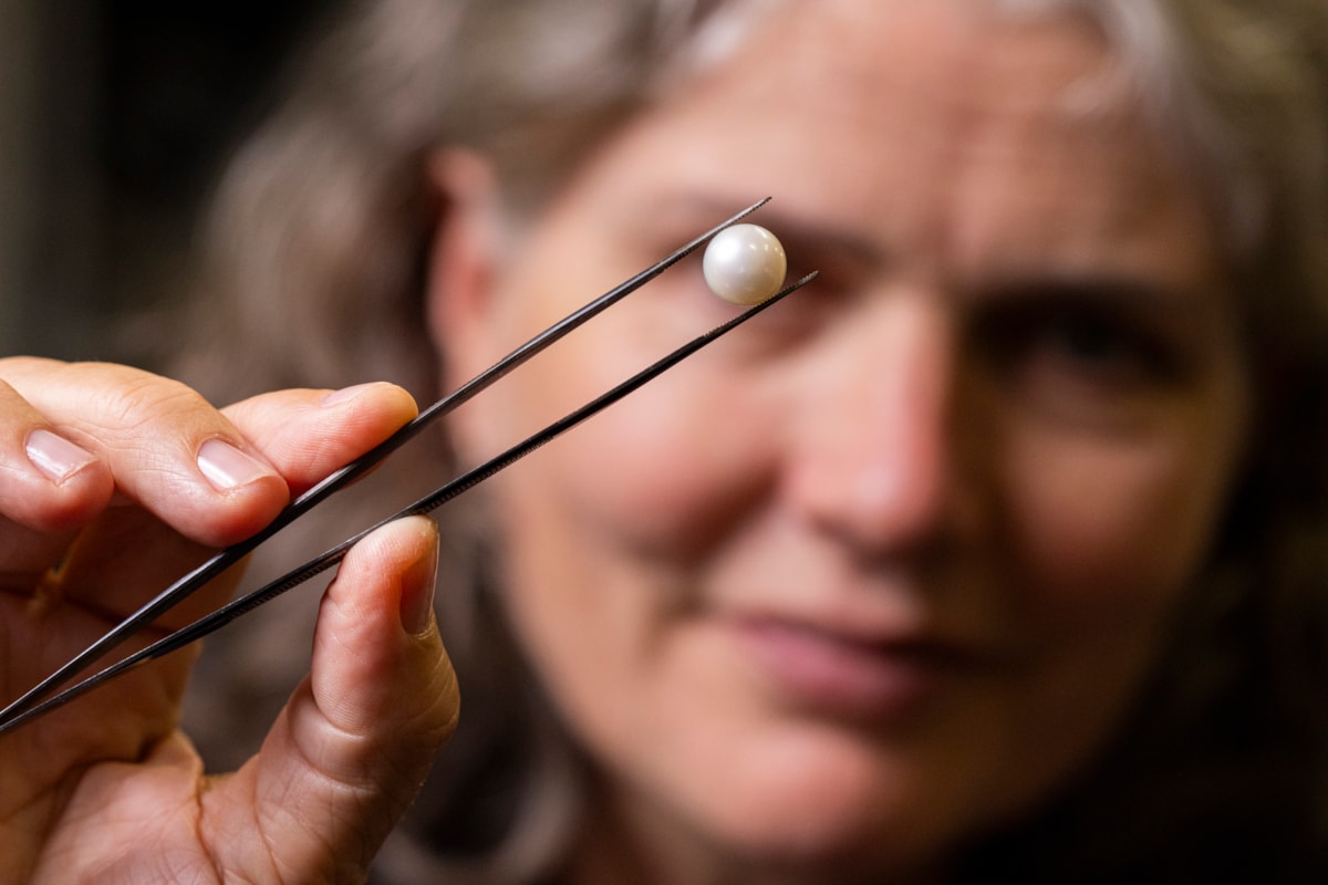 Dr Rachel Walcott, Principal Curator of Earth Systems at National Museums Scotland with the Abernethy Pearl. Image copyright Duncan McGlynn (2)