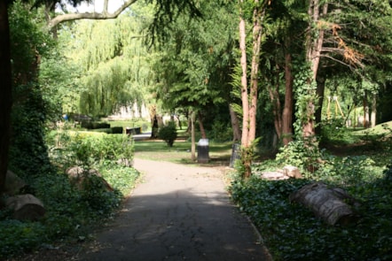 allensgardensbestgenview-2.jpg