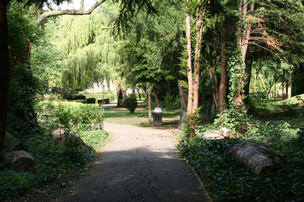 allensgardensbestgenview-2.jpg