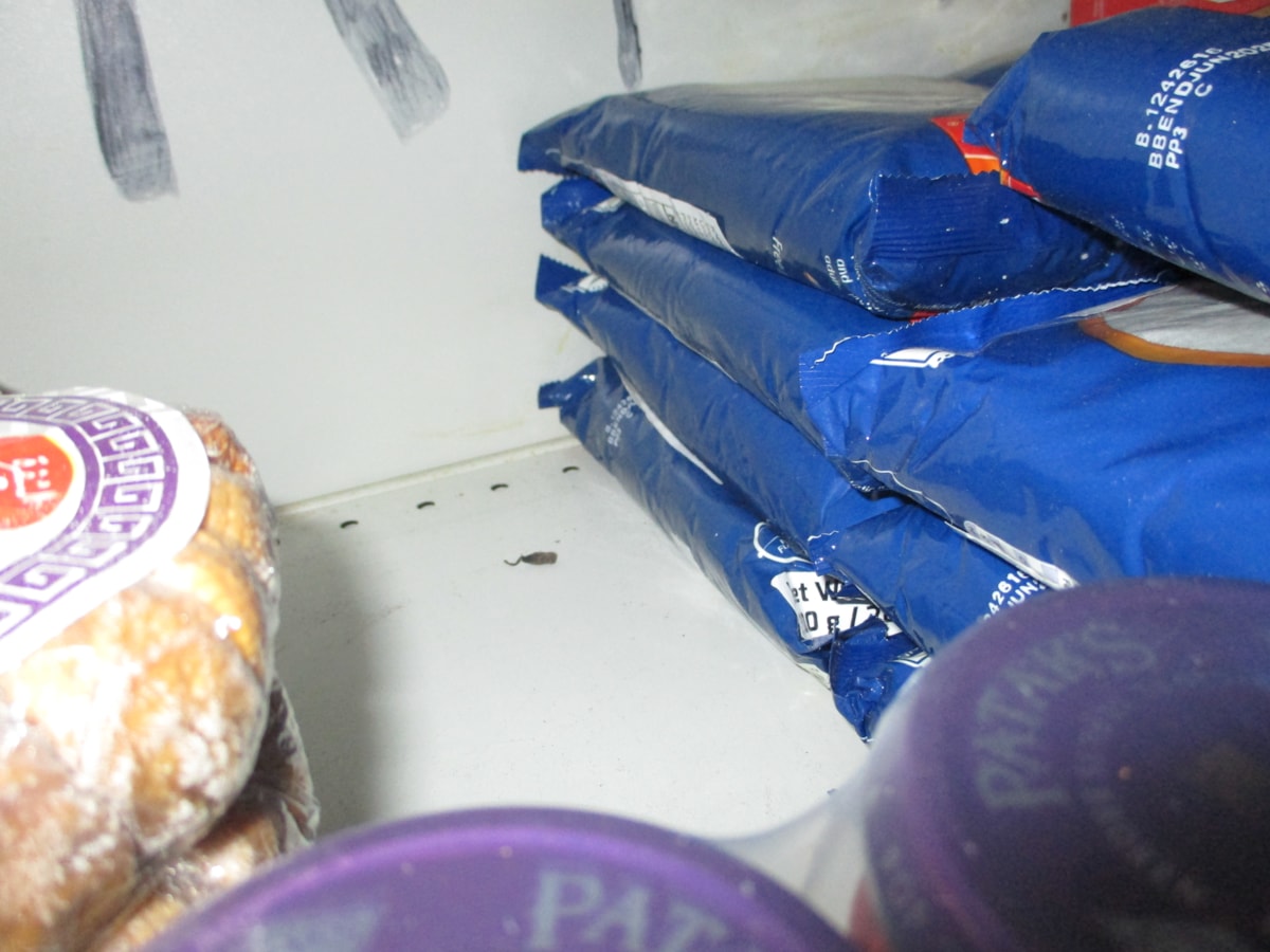 Your Local Butchers 4