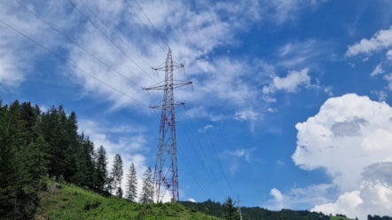 Ecological corridor management power line