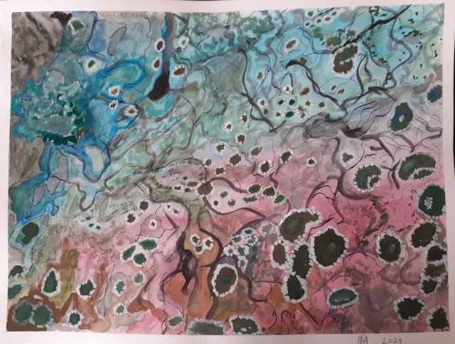 Caroline Collingridge, Rare Lichens in Devon