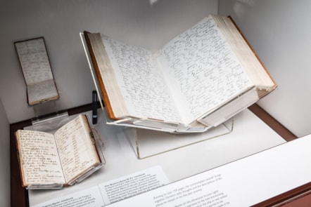 Image 8. Charles Darwin’s ‘Buenos Ayres’ notebook, 88202332 and his ‘Journal of the Beagle Voyage’, 88202366
