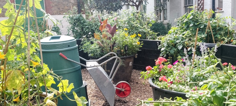 Communities across Islington recognised at Islington in Bloom celebration