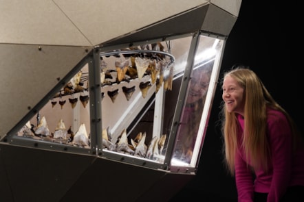 Connie Blacklaw (11)  meets a megalodon at the National Museum of Scotland’s exhibition Giants. Photo © Stewart Attwood