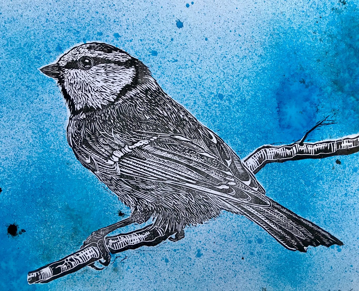 Birdwatching partnership: Lino print of a blue tit which is part of the art packs being sent to members of the group.