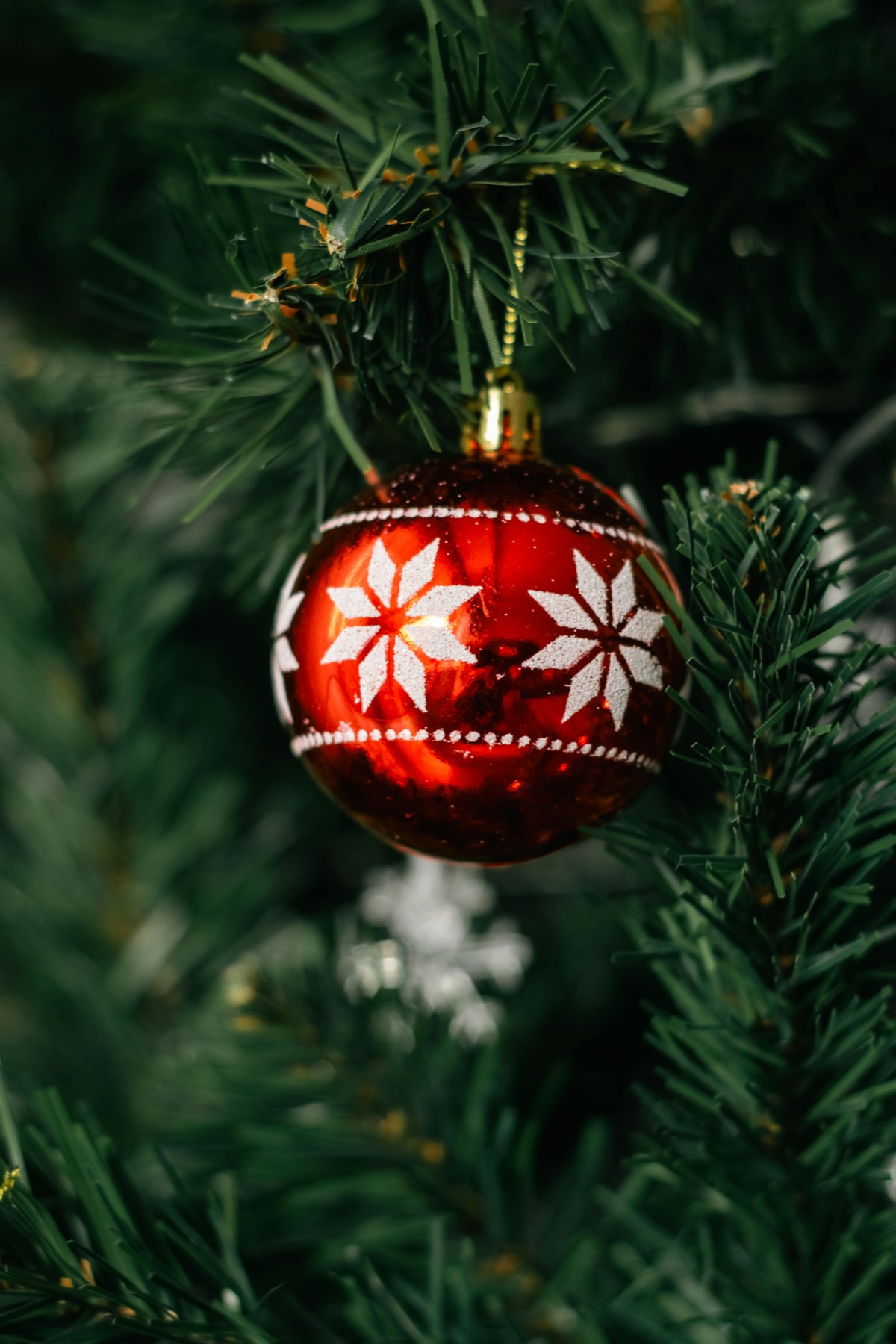 pexels-cigdem-bilgin-2154409770-35096937