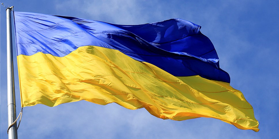 Ukraine Flag