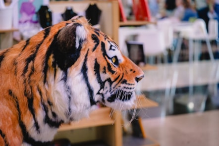 Amgueddfa Genedlaethol Caerdydd.