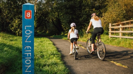 Cycling - Lon Eifion cycle route