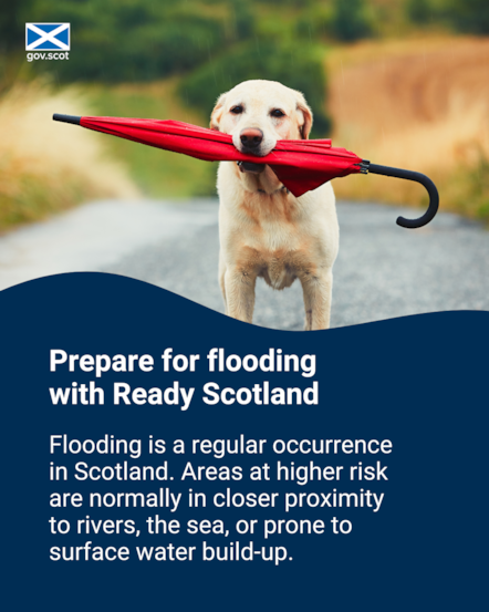 Dog - Portrait - Flooding - SG Resilience - September 2025