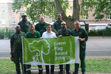 17 Green Flags