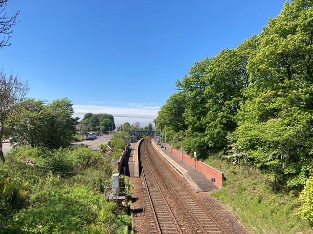 Tree cutting will improve autumn safety at Dalgety Bay station: Dal Bay 1