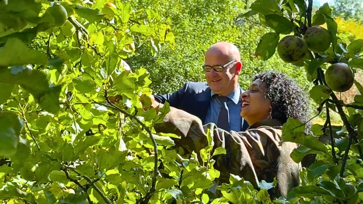 Councillor Shaun Turner discussed apples with Pennine Oaks community group member Saba