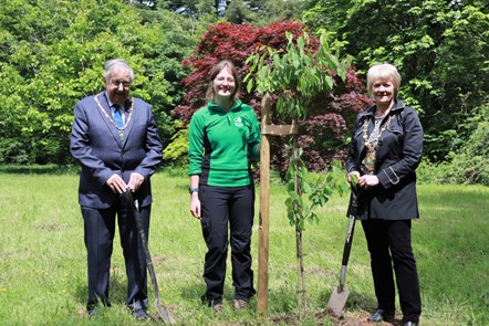 Jubilee Tree Planting