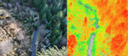 Optical and Multispectral perspective drone images