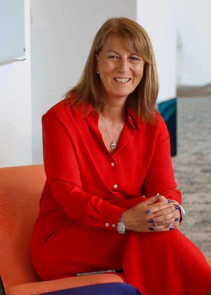 Sarah Williams-Gardener OBE (Vice Chair)