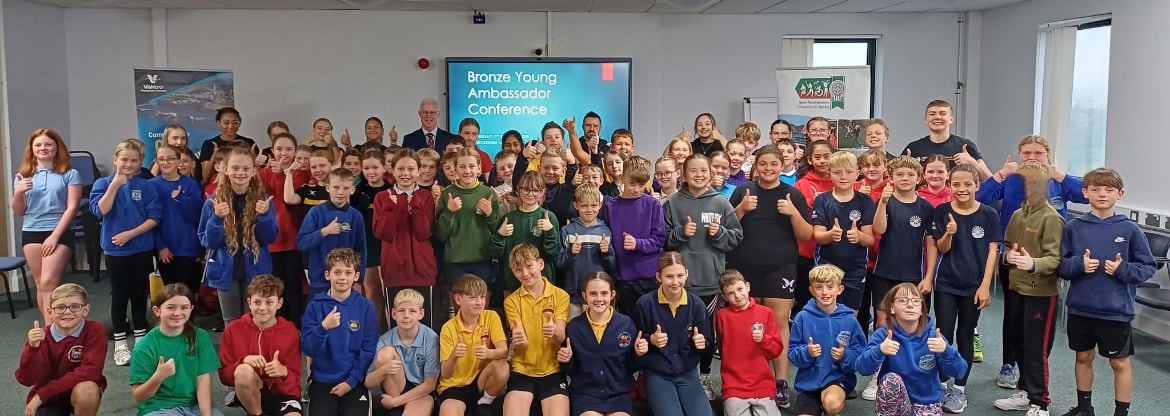 Bronze ambassadors - Llysgenhadon efydd