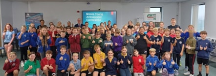 Bronze ambassadors - Llysgenhadon efydd