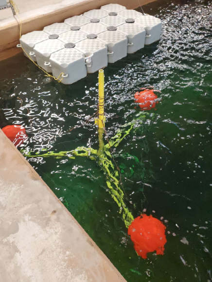 Image 2 (1)