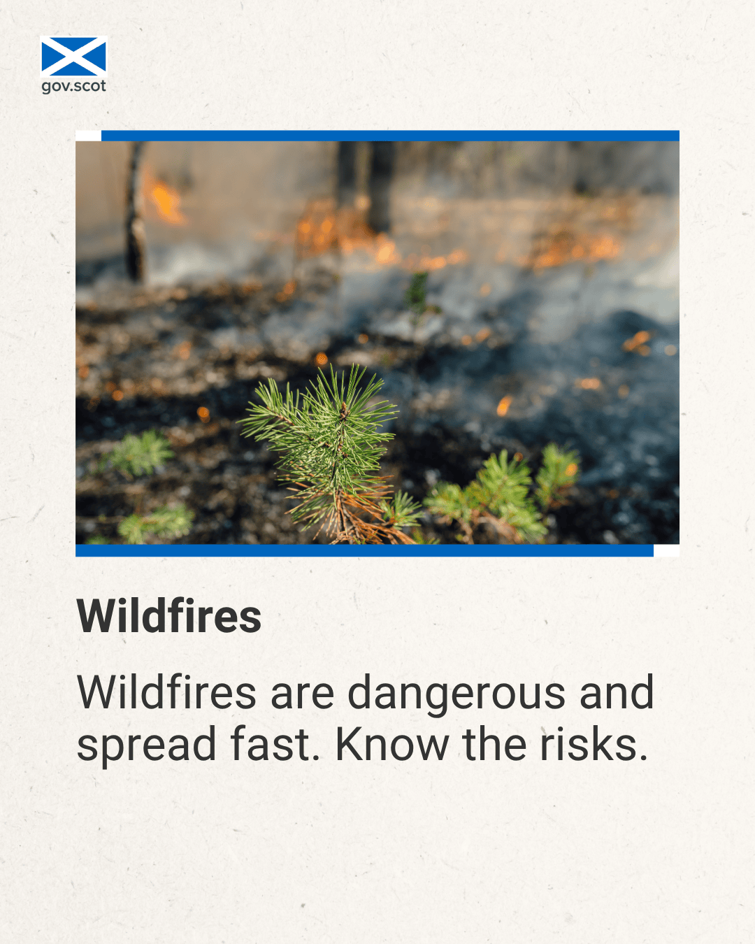 Embers - Portrait - Hot Weather - SG Resilience - June 2025