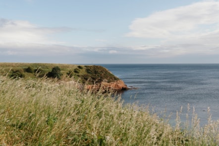 Berwick (2)