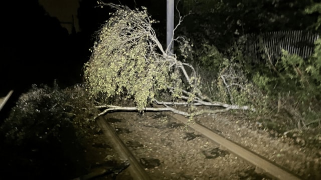 Major North West rail disruption as engineers battle Storm Boelo: Damaged tree hanging over the railway line