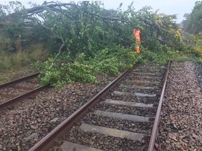 Storm Ciara: Severe disruption expected across South - please check before you travel: Example of a tree on the line