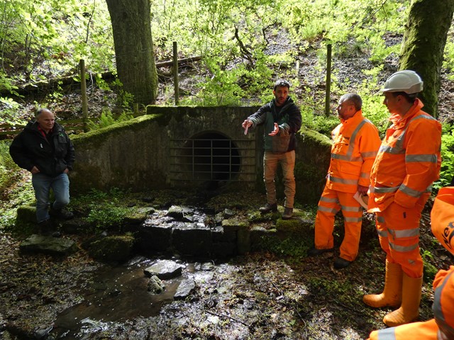 The start of a tree-iffic relationship: Drainage is an area of common interest for NR and FLS