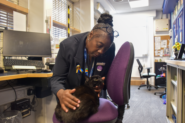 A legendary duo departs: Station manager and Bolt the cat say goodbye to Huddersfield station