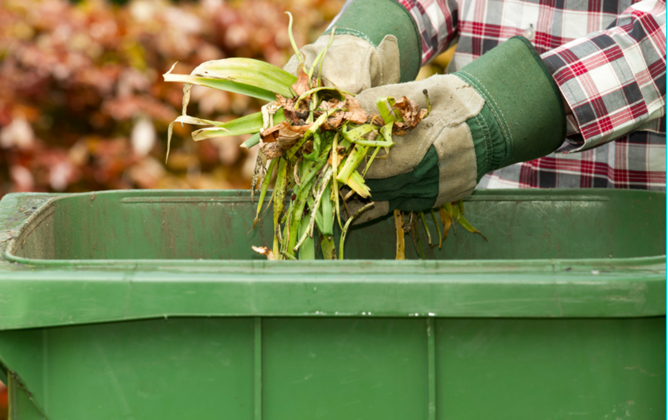 Garden waste green bin