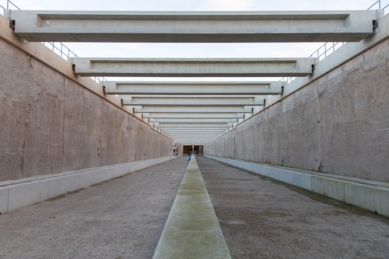 Inside Burton Green tunnel cutting December 2025