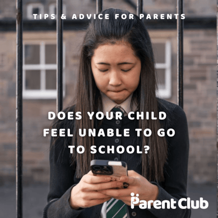 Image 1 - 1x1 - Static - School Attendance