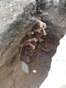 Bones discovered in a charnel pit found under Constitution St Graveyard’s eastern wall