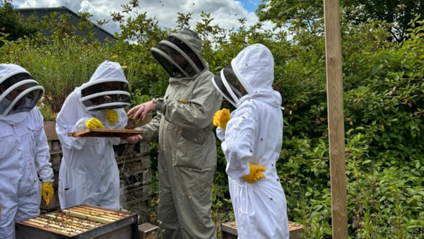 Motability Operations launches lunchtime beekeeping initiative: Motability Operations lunchtime beekeeping