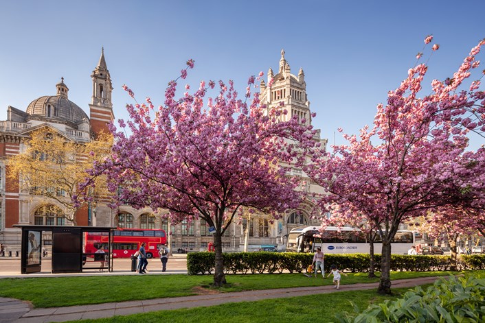 Two Chinese students win once-in-a-lifetime London experience: 2018 04 20 Natural History Museum-137