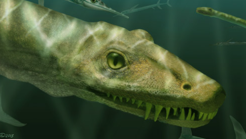 Dinocephalosaurus orientalis