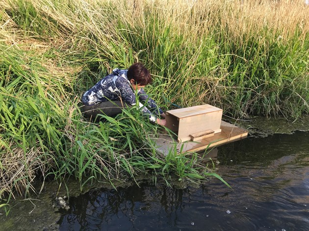 Mink monitoring raft (c) Scottish Invasive Species Initiative