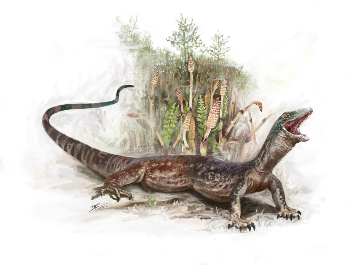 Breugnathair elgolensis artist reconstruction. Image © Brennan Stokkermans 