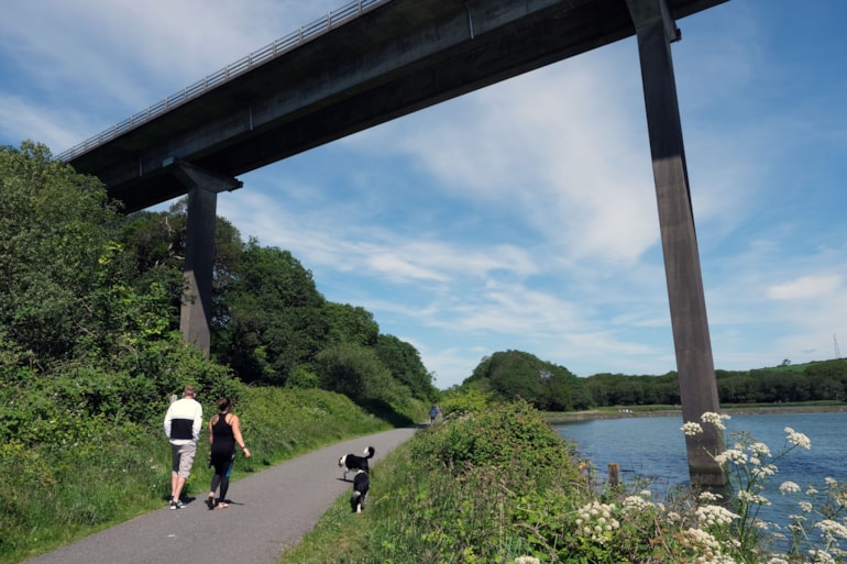 Essential bridge maintenance and repairs planned for early January