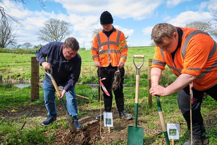 Cllr Reid plants a tree with modern apprentices