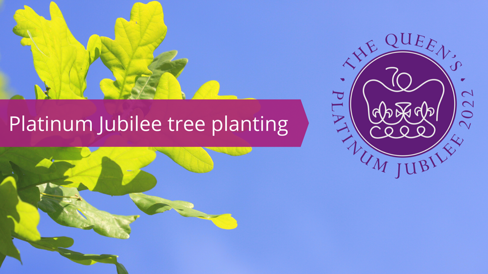Platinum Jubilee tree planting (1)