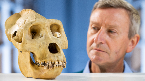 Behind the scenes at National Museums Collection Centre